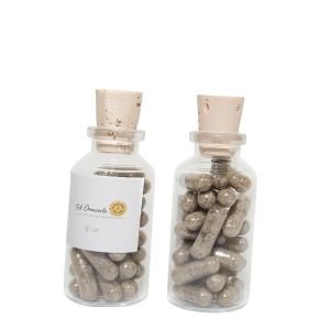 Microdosis Psilosibe